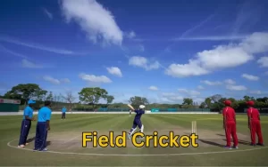 fieldcricket